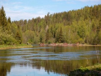 С сайта «Безопасность Архангельской области»